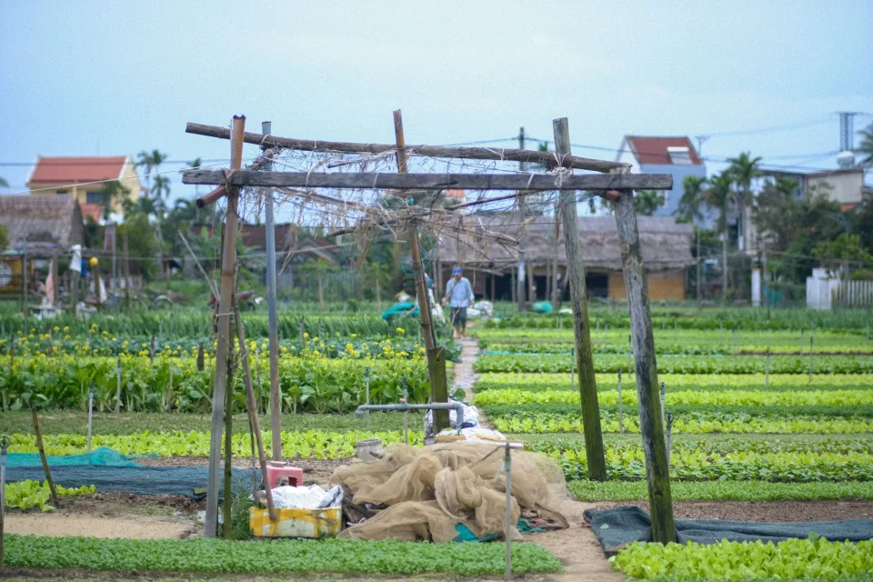Củ quả theo mùa